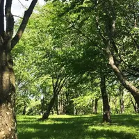 丸山公園の写真・動画_image_343523