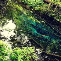 神の子池の写真・動画_image_343527