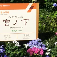 宮ノ下の写真・動画_image_343660