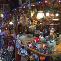 チャンドニー華麗ばぁーの写真・動画_image_343866