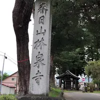 春日山林泉寺の写真・動画_image_343937