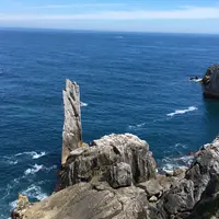 唐桑半島の写真・動画_image_344168