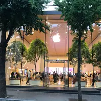 Apple カロスキルの写真・動画_image_344491