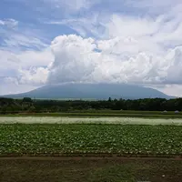 山中湖花の都公園の写真・動画_image_344849