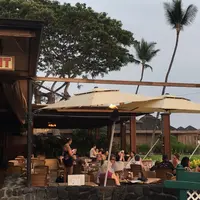 コナ イン レストランの写真・動画_image_346439