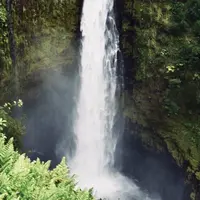 アカカ滝の写真・動画_image_347009