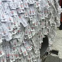 安井金比羅宮の写真・動画_image_347234