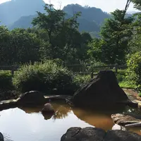 南玉川温泉 湯宿 はなやの森の写真・動画_image_348760