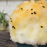 喫茶ニワトリの写真・動画_image_349510