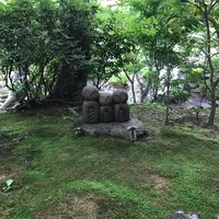 長谷寺の写真・動画_image_403495