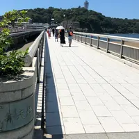 江の島の写真・動画_image_403505