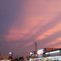 楽天モバイル ケーズデンキ 茂原本店の写真・動画_image_403567