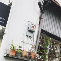 Shiva Cafeの写真・動画_image_403980