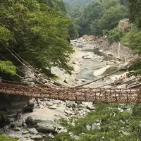 祖谷のかずら橋の写真・動画_image_405984