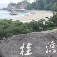 桂浜の写真・動画_image_406026