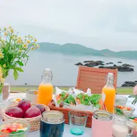 HOLLY CAMPの写真・動画_image_406633