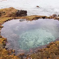 ハートロックの写真・動画_image_406641