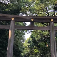 明治神宮の写真・動画_image_407376