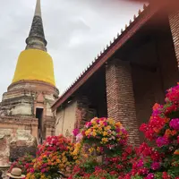 ワット ヤイ・チャイ・モンコンの写真・動画_image_407404