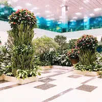 シンガポール・チャンギ国際空港（Singapore Changi International Airport）の写真・動画_image_407632