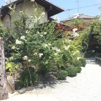 山越うどんの写真・動画_image_407673