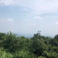 高尾山の写真・動画_image_407674