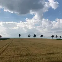 メルヘンの丘の写真・動画_image_407884