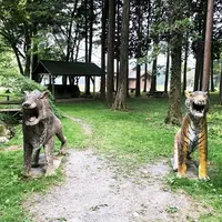 ふもとっぱらの写真・動画_image_408154