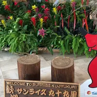 国民宿舎 サンライズ九十九里の写真・動画_image_408207