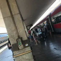 フィレンツェ・サンタ・マリア・ノヴェッラ駅の写真・動画_image_408832