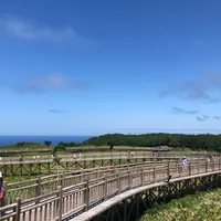 知床五湖の写真・動画_image_409159