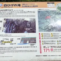 しらひげの滝の写真・動画_image_409346