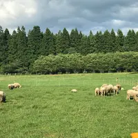 星と自然館の写真・動画_image_410262