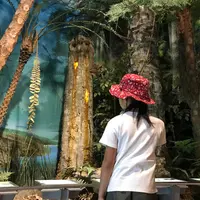 久慈琥珀博物館の写真・動画_image_410306