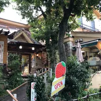 レマンの森の写真・動画_image_410402