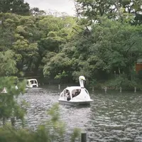 洗足池公園の写真・動画_image_410410