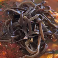 辛麺屋一輪 渋谷店の写真・動画_image_411393