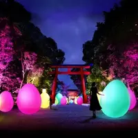 下鴨神社（賀茂御祖神社）の写真・動画_image_411716
