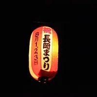 長岡まつり大花火大会の写真・動画_image_411931