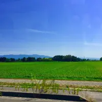 二日目の写真・動画_image_412043