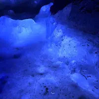 富岳風穴の写真・動画_image_412286