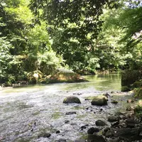 鶴仙渓の写真・動画_image_412444