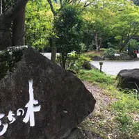渓谷別庭 もちの木の写真・動画_image_412757
