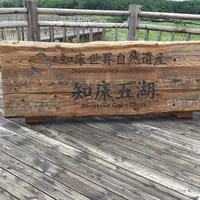 知床五湖の写真・動画_image_412889