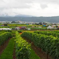 カンパーナ六花亭の写真・動画_image_412961