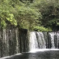 白糸の滝の写真・動画_image_413031