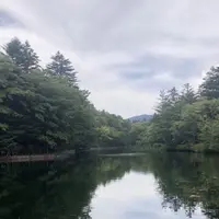 雲場池の写真・動画_image_413037