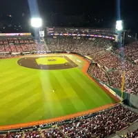 楽天Koboスタジアム宮城の写真・動画_image_413059