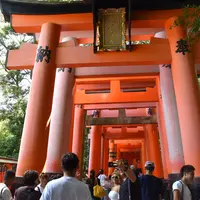 千本鳥居の写真・動画_image_413465