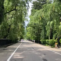 角館武家屋敷通りの写真・動画_image_414294
